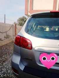 سنتافي • ٢٠١٠ • رقم اربيل