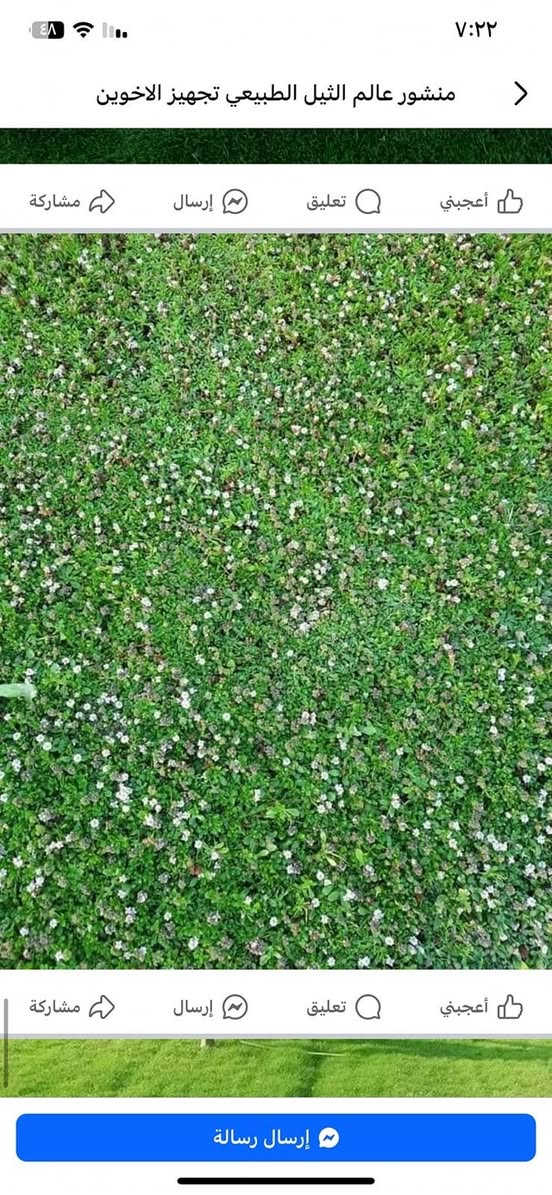 🌿 ثيل طبيعي بجودة ممتازة – هندي درجة أولى 🌿

✨ مثالي للاستخدام في:
🏡 المنازل | 🌳 الحدائق | ⚽ الملاعب | 🏢 الدوائر | 🏗️ المشاريع الاستثمارية

💰 سعر المتر المربع مميز جداً! (تخفيضات خاصة للكميات الكبيرة – قابل للتفاوض)

✅ متوفر لدينا جميع أنواع الثيل الطبيعي:
🇫🇷 فرنسي | 🇮🇹 إيطالي | 🇺🇸 أمريكي | 🇮🇳 هندي | 🇪🇸 إسباني | 🇬🇧 إنجليزي

🚛 قدرة على تجهيز كميات كبيرة للمشاتل والملاعب

🌱 لماذا نحن؟
✔️ نوعية ممتازة بأسعار تنافسية
✔️ زراعة احترافية تضمن نجاح الثيل
✔️ توصيل سريع حتى باب بيتك

📩 لطلب الثيل أو الاستفسار، راسل الصفحة الآن! 💬

***********
***********

