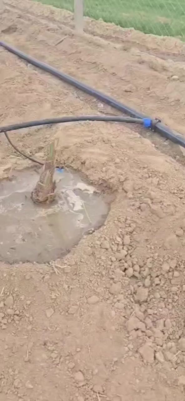 السـلام عليـكم
👷 كادر مختص لتنصيب منضومة التقطير والمرشات
📐 نعمل بأحدث الطرق المتميزه
⚒️ نستلم العمل بالمقطوعه + كرسته وعمل
💦مستعدون لتقطير المزارع والبساتين والحدائق.....
🔨 دقـه . التزام . تنفيـذ
📞 للتواصل ***********
