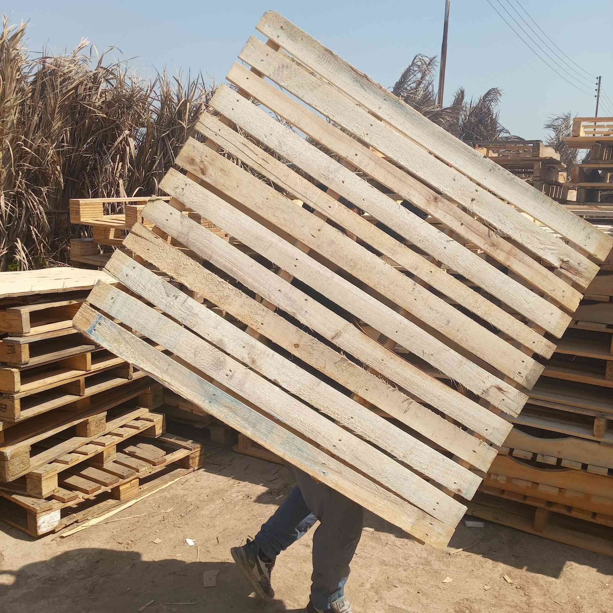 سلام عليكم سكيبات للبيع والتفاصيل بلتعليق


**إذا كنت صاحب هذا الإعلان وتريد حذفه لأي سبب، رجاءا أرسل رسالة إلى الدعم الفني**