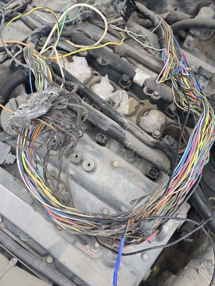 سلام عليكم 

اقره كلشي قبل متتصل رجاااااااء 

هيونداي ازيرا  خليجي 
موديل  2007 
محرك 3300 جديد كارتون 
تبريد ثلج  منضومه كامله جديد مسويهه 760  الف 
سستم صوت انفنتي 8  سماعات 
كشنات جلد 
سلايد روف 
شاشه + كامره بك 
ويل 17  + تخم تاير جديد 
لايتات جدد 
مشي سياره ٣٠٠ الف 
رقم بغداد صدامي    
سياره بيهه حداديه 60% 
وبيهه مكانات جارده 
مكان السياره النجف الاشرف

نواقص 
عنبار 
بريشر 
دكشن 
جويتر 
شوته 
ضفيره محرك شي بسيط محترك 
صونده بانزين 
ABS  
قبق فيوزات فقط
بور ستيرن

مكانهه نجف للتواصل ***********
واتساب  هذا ***********
سعرهه 59 قفل النجف, العراق
