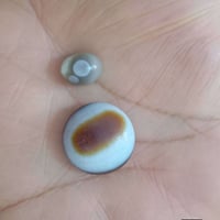 أغراض قديمة • تفاصيل خاص