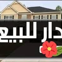 حي ١٧ تموز • ١٠٠م • طابو صرف