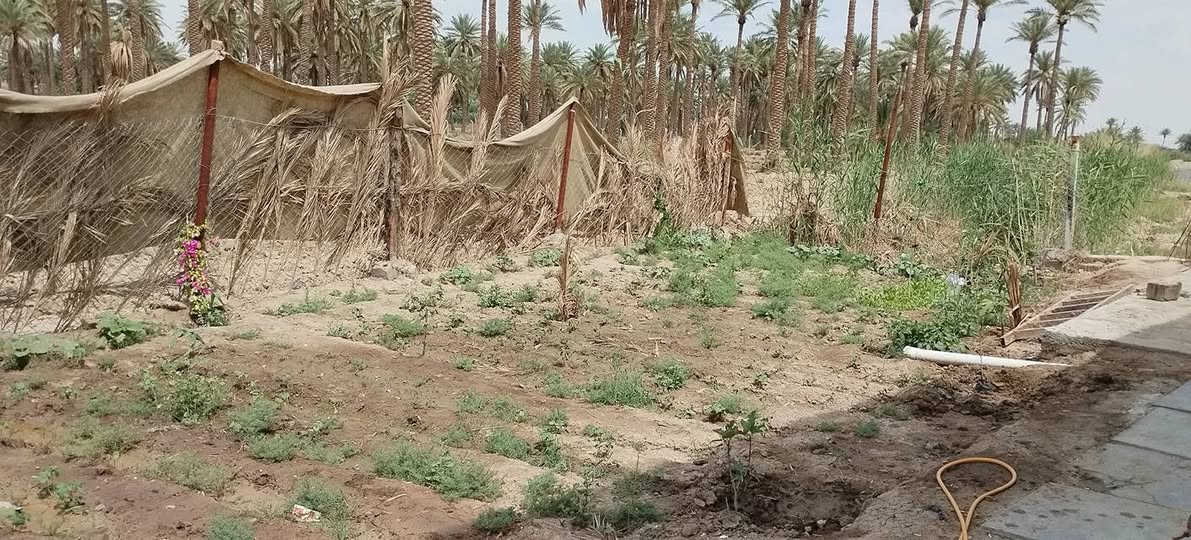 سلام عليكم  بيت  على طريق الديوانية السنية طريق الزوار مابين سنية و الديوانية يبعد عن الشارع 250متر طابو سند 25 مساحة 550م +فضلة +حديقة داخلية و خارجية + يوجد 5اغرف 4×5 و غرفة واحدة 6×5 + استقبال  و مطبخ 6×5 صحيات داخلية و خارجية +كونكريت مسلح  بناء 2025 ماء و مجاري كاملة مجمع حيدر حجي هندي على طريق السنية مقابل برج اسيا سيل  ***********
***********
سعر خاص
