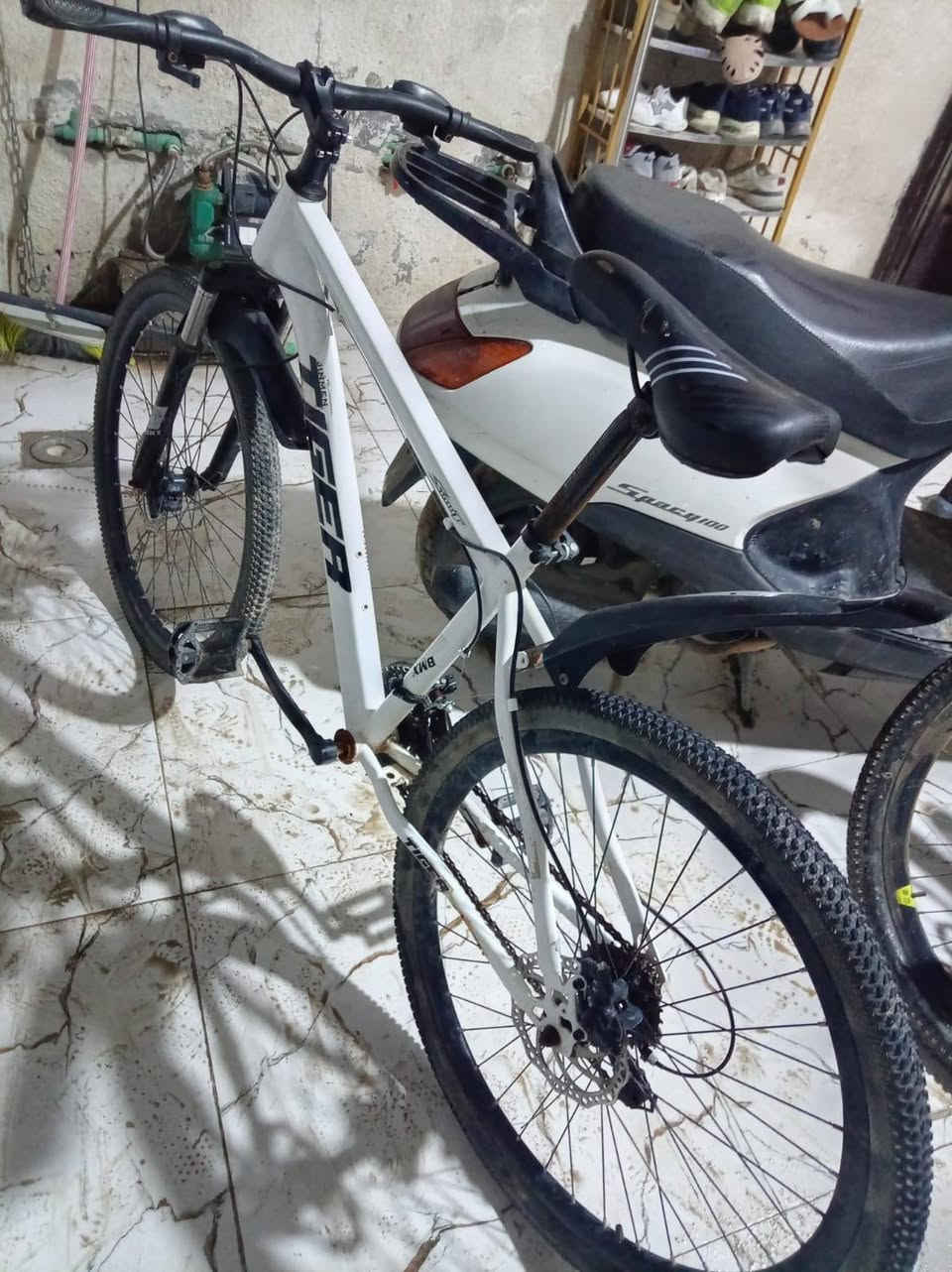 السلام عليكم بايسكل ياباني للبيع جديد السعره ب100


**إذا كنت صاحب هذا الإعلان وتريد حذفه لأي سبب، رجاءا أرسل رسالة إلى الدعم الفني**