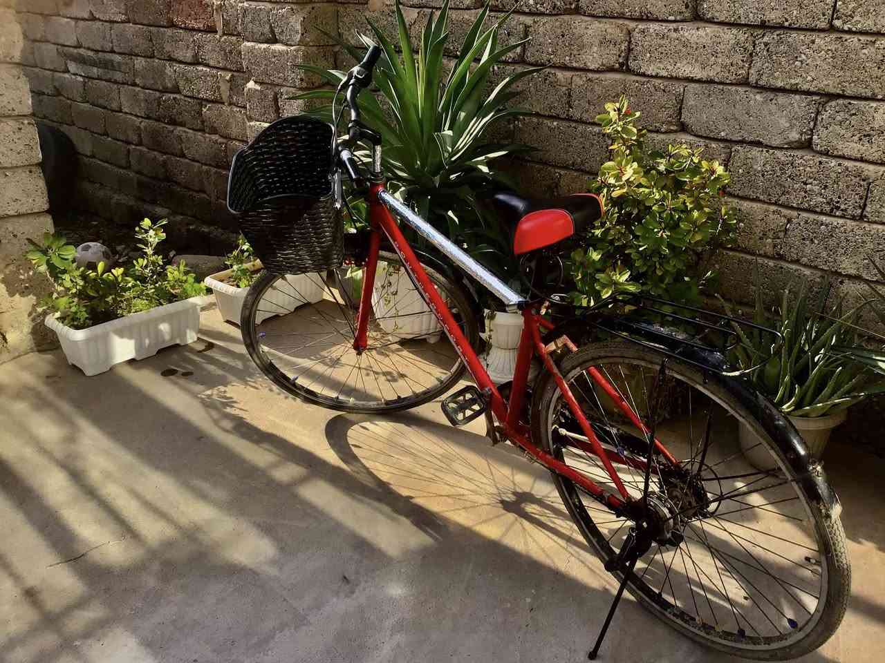 السعر ٧٥+بي مجال
الرقم للاستفسار. ***********
