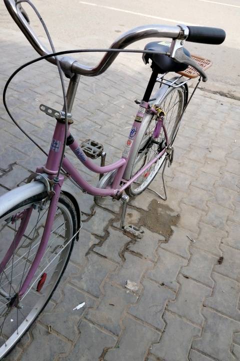 البصره قضاء المدينة 