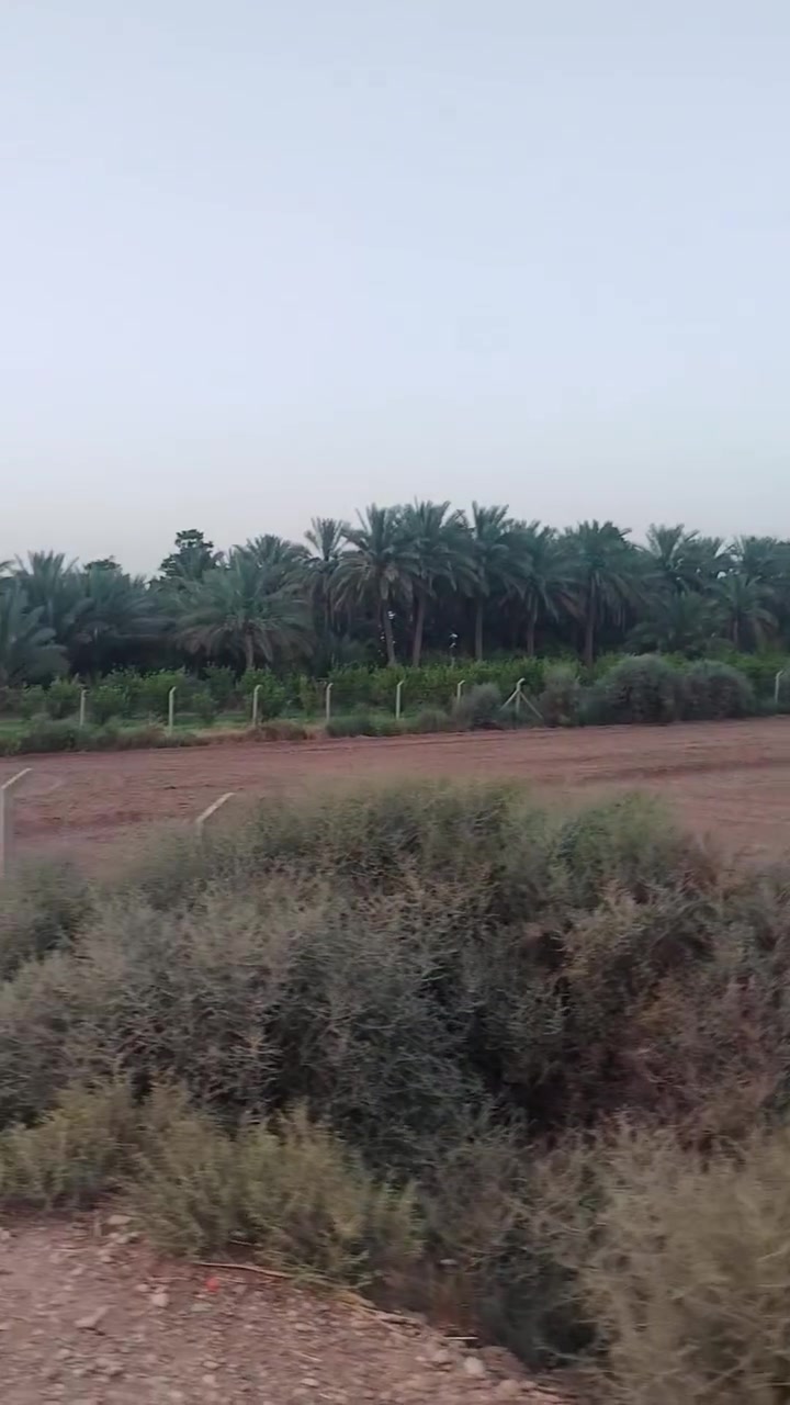 السلام عليكم يعلن مكتب الكوخ للعقار عن بيع 12 دونم طابو زراعي تحويل مباشر باقي التفاصيل داخل الفيديو
الواجها على الشط 55 تقريبا
سعر الدونم الواحد 100 قابل للتفاوض للإستفسار مراجعة مكتب الكوخ او الاتصال على الأرقام التاليه
***********
***********
