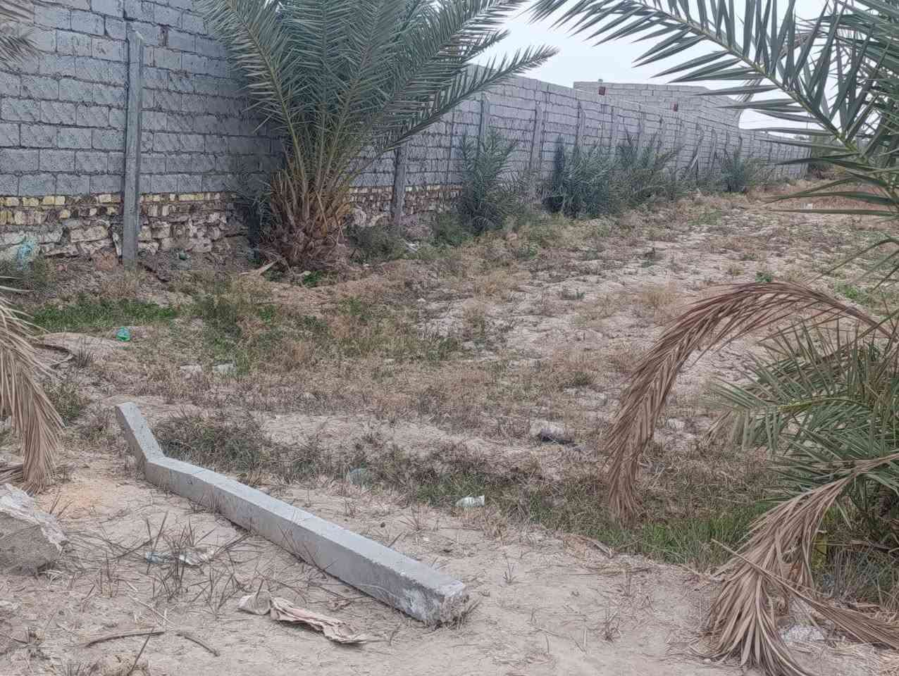 السلام عليكم متاح دونم اله ميه. متوفر ماي وكهربا. وبيهه. نخل انواع.  المكان قرب سيد مجيد الموسوي قضاء السدير ***********
