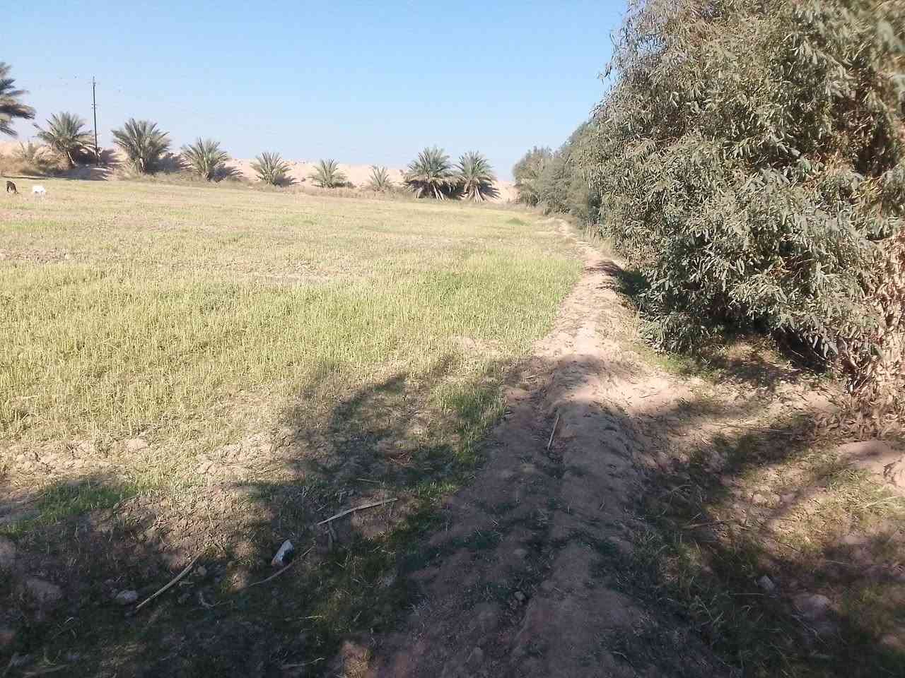 السلام عليكم 12دونم للبيع محافضت واسط النعمانيه يوجد بيه اربع بيوت و رساله مياه يتواجد المياه شتاء صيف شارع سبيس وتوفر بها محوله امكلف بل النشر للستفسار التصال علا الرقام التاليه ///***********///‏‪***********‬‏📞📞
