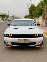 جالنجر 2023 last call sxt الحادث بنيد صبغ فقط بدون ارباك بدون دواخل   ...