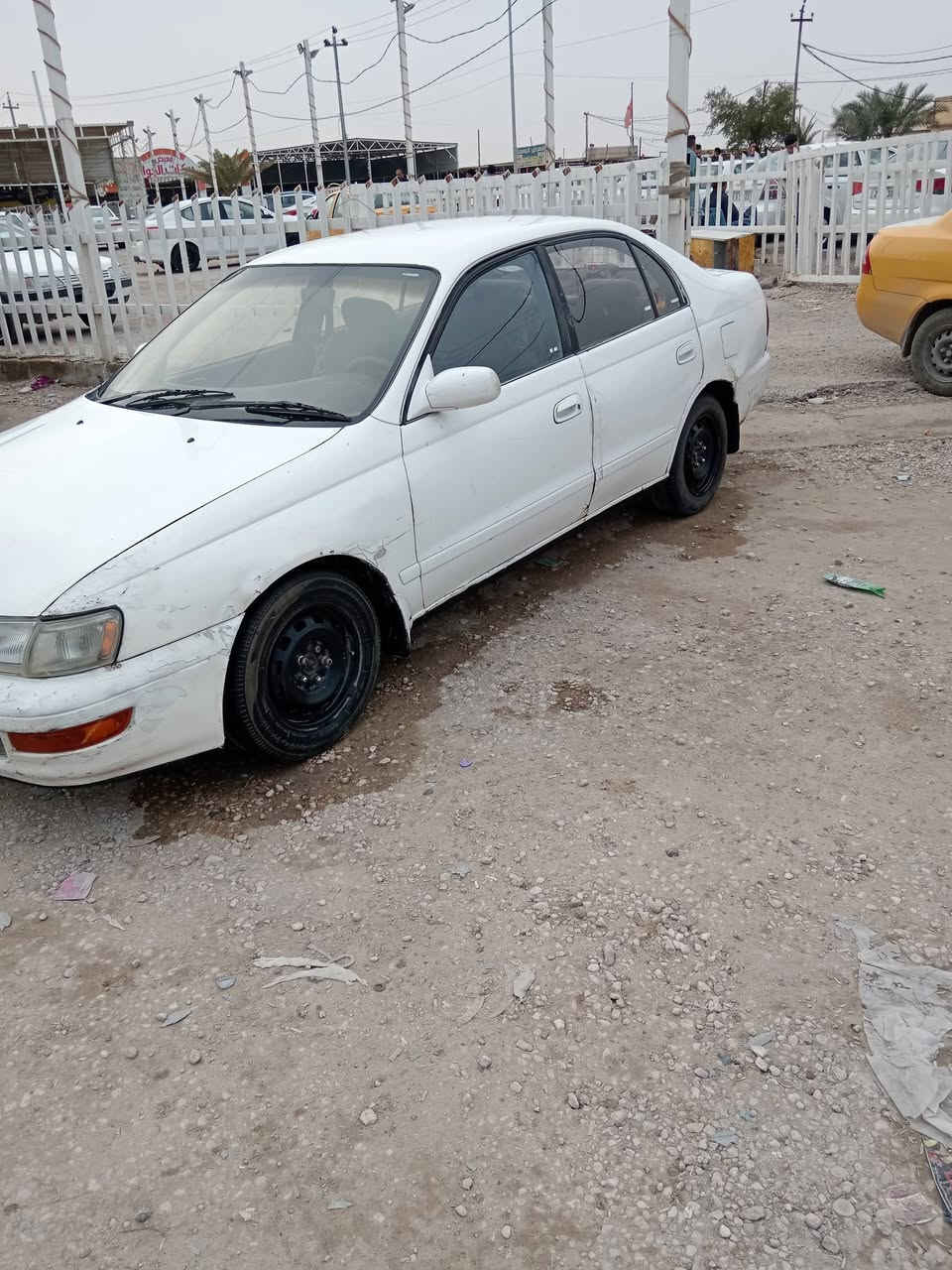 سلام عليكم) كرونا مكفولة من الكصه ونغل جثة وضربه قويه مكينه وكير جدد رقم بغداد مشروع وطنية سنويه 2028 العنوان النجف ناحيته الحيدرية ***********
