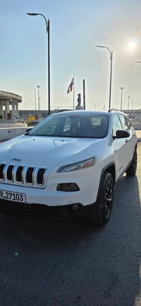 شيروكي بزون • ٢٠١٤ • وارد امريكي