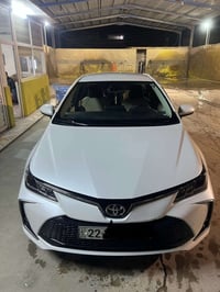 كورلا • ٢٠٢٣ • رقم اربيل