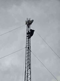 تفصيخ ونصب • ٢١م • بابل محاويل