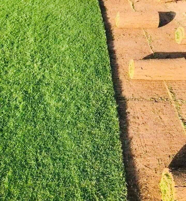 خەڵکی پارێزگای سلێمانی، بۆ حجزکردنی داواکاریەکانتان، تکایە پەیوەندی بکەن بە نوێنەری شەخسیمانەوە
***********فریزی دیالە
فریزی دیالە بۆ فرۆشتن لەگەڵ خزمەتگوزاری گەیاندن بۆ هەموو پارێزگاکانی هەرێمی کوردستان ( هەولێر، کەرکوك، دهۆك، سلێمانی )***********

باخچەی ماڵەوە، پارکی شوێنە حکومیەکان، باخچە گشتیەکان، فریزی دەرەجە یەك گەیاندن بۆ بەردەرگای ماڵەکانتان بەردەستە
…………………………السعر 2500 دينار ………………………..
ثيل روعة ديالى لتجهيز كافة انواع الثيل الطبيعي
الثيل امريكي🌿الثيل الهندي🌿الثيل الايطالي 🌿ثيل فرنسي🌿
مستعدون لتجهيز كافة
المشاتل🌴👇
منازل🏡👇
منتزهات🏄
موجود خدمة توصيل 🚕🚕 لكل محافظات العراق 
للطلب التواصل مع الصفحة او الاتصال على :

***********
