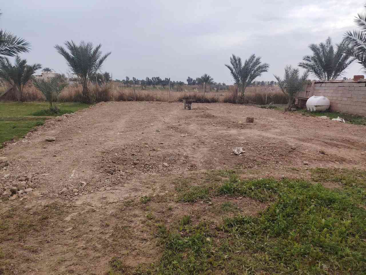 سلام عليكم عندي أرض زراعيه عقد على ١١٧ مسحته ٢ دونم ونص مسيجه بيئرسي بلكامل مزروعه أنواع نخيل أحسن نواع من البرحي والمجهول وبريم ونواع أخره مع بيت يحتوي على ٢ غرفه والملحقات ومع مشتمل يحتوي على غرفه مسحت البيت مع مشتمل ٢٨٠ متر وتجي تشوف بعينك أحسن سعر بي مجال رقمي *********** أخوكم حسين
