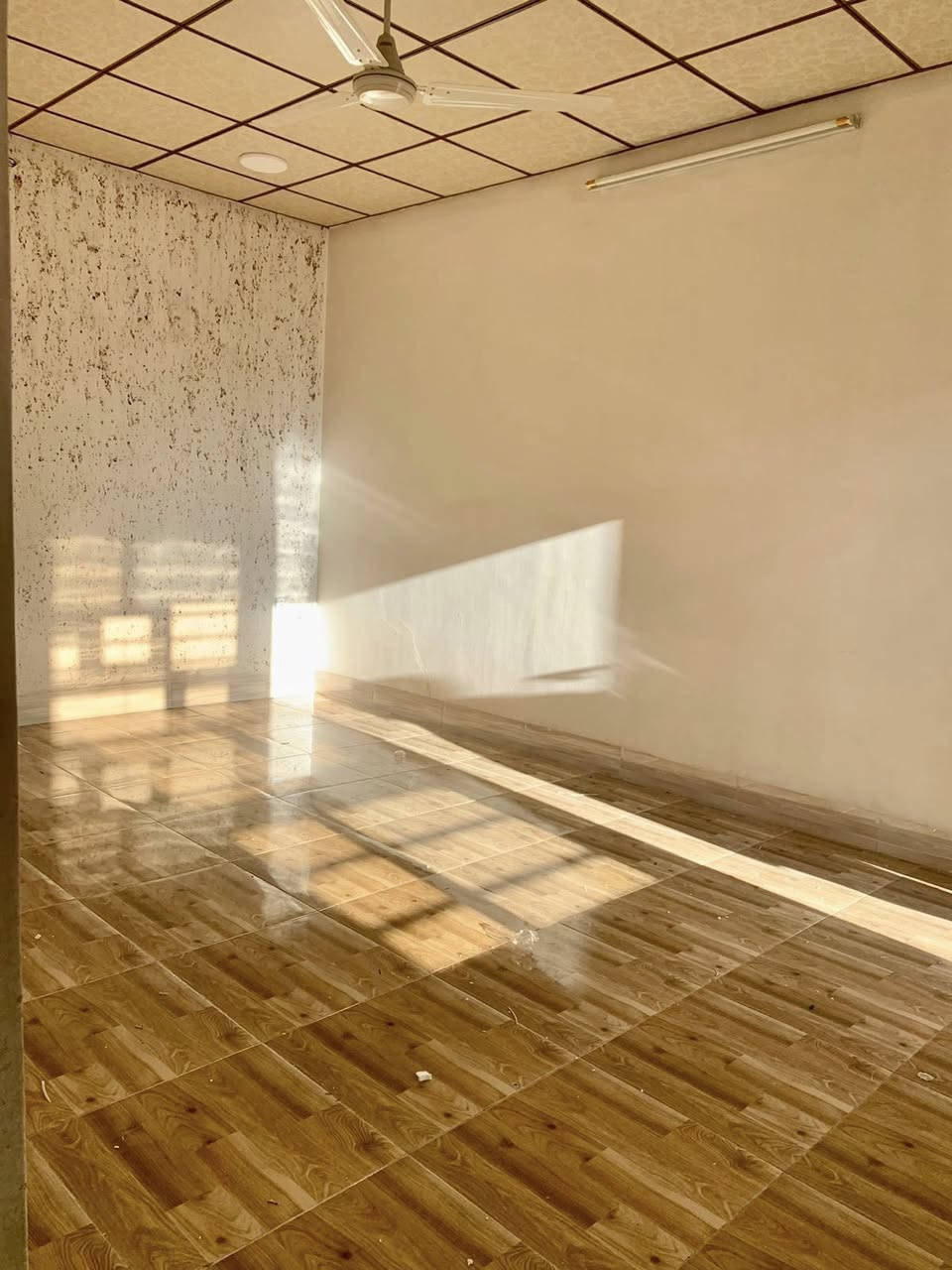 دار للإيجار/كركوك/سرچنار/فلكة سرچنار
(التأجير لعائلة صغيرة فقط)

المساحة: 100 متر 

يحتوي على:
(غرفة نوم+استقبال+مطبخ
+بيتونة+صحيات+كراج سيارة+حديقة)

الايجار: 250 الف

لمعرفة السعر والاستفسار الاتصال على الارقام الاتيه:
(***********) اسيا 
‏(***********‏) كورك 
او مراسلتنا على بريد الصفحة

ملاحظة: يمكنكم ارسال الأراضي والبيوت
للأعلان عنها عبر صفحتنا بدون مقابل 
يرجى ارسال:
عنوان المُلك كامل 
بعض الصور للمُلك
سعر المُلك 
عبر الواتساب الخاص بالصفحة (***********)

لزيارة مكتبنا على العنوان الاتي: 
كركوك/سرچنار/فلكة سرچنار
