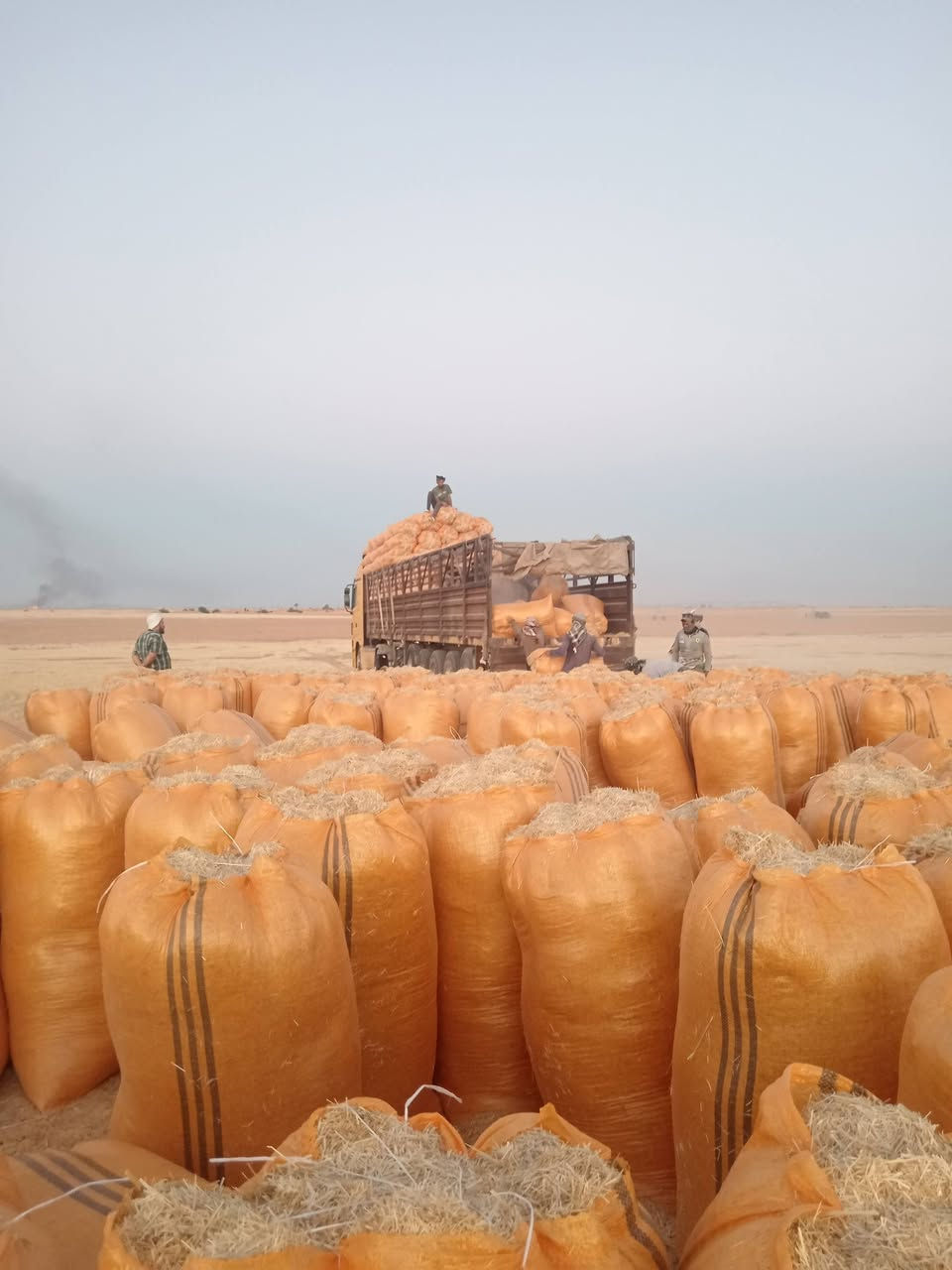 السلام عليكم يوجد لدينا تبن درجة والة راس كوم مال السنة الحجم الكونية ام 60 بسعر الزوج ب3250 وبي مجال التوصيل مجاني بلد دجيل السحاقي خابر ودلل *********** ويدجد لدينا انوع احجام الكيس او عدد طنون مطروح
