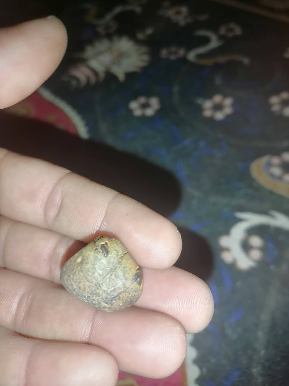 للبيع ٥٠
***********
