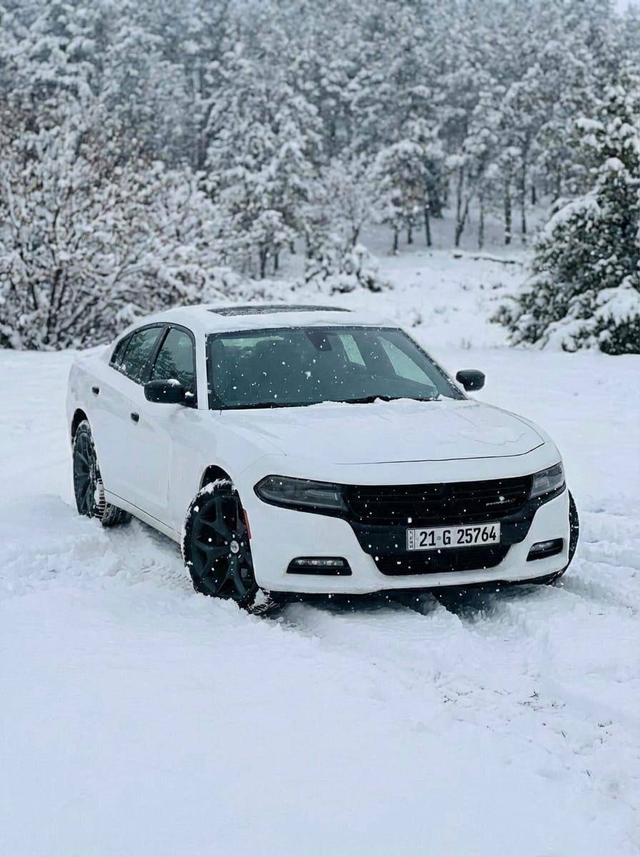 سلام عليكم جارجر رالي موديل 2017 مريكي رقم شمالي نكليزي بسمي فول مواصفات مكينه 3600 وكير ت على وضع شركه حادث جاملغ وبنيد فقط صور لحادث مرفقه  تخم تايرات جديده ماشيه 95 / سعر 178 وبيها مجال تواصل تصال ع ***********
