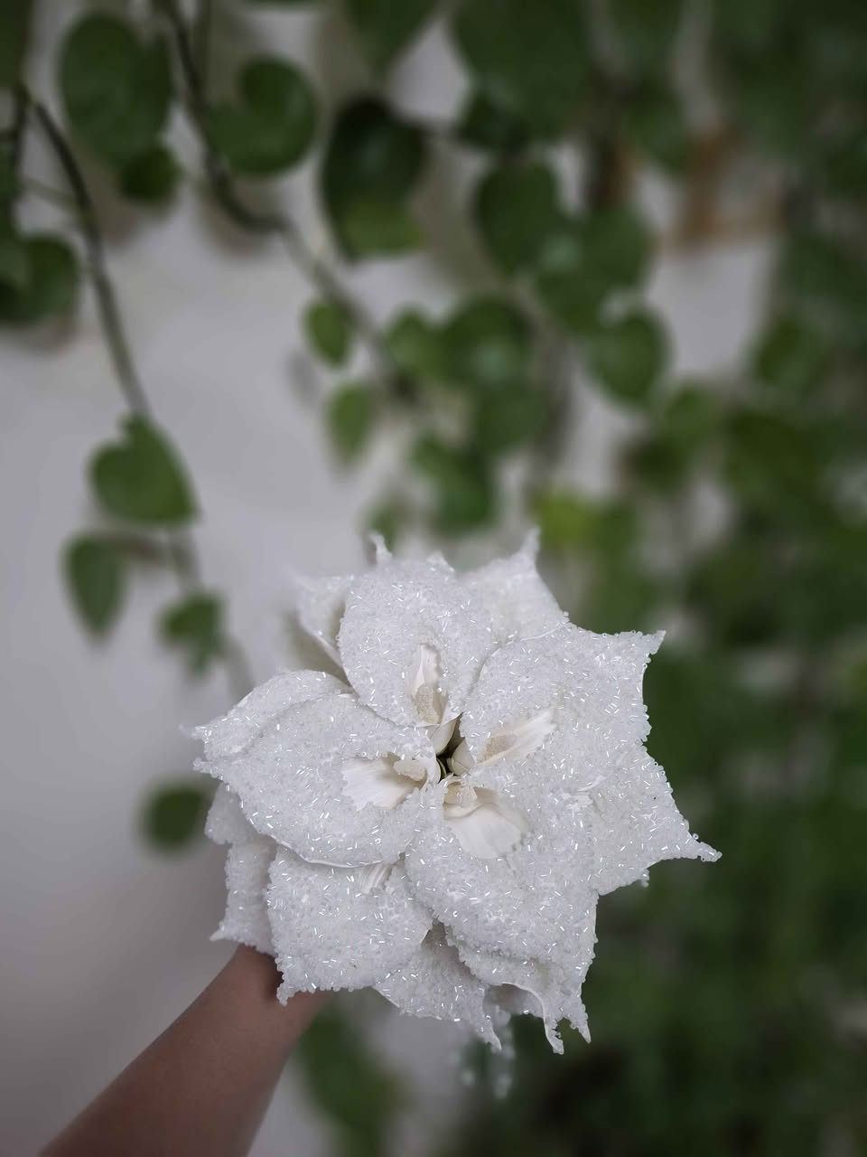 ‎جوانترین گوڵی بووک لێرە بەردەستە ئەمە ڕێک شووشەیە شووشە ئەوەنە ناسکە تەنها ٣٠هەزار‎ السليمانية, العراق


**إذا كنت صاحب هذا الإعلان وتريد حذفه لأي سبب، رجاءا أرسل رسالة إلى الدعم الفني**