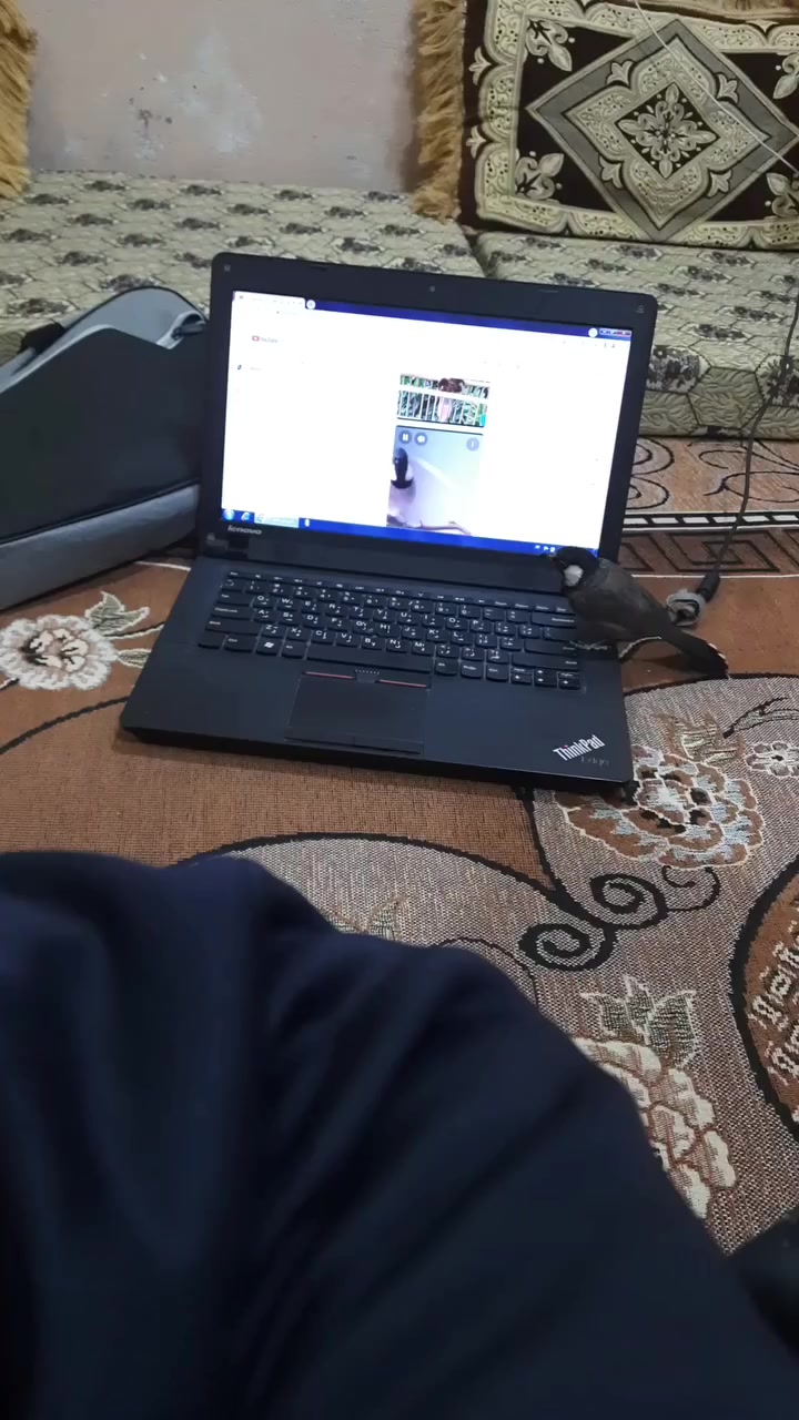 لابتوب لينوفه للبيع ويندز 7
شغال ويا شاحنه اصليه وجنطه 
فقط البطاريه هابطه 
للبيع سعره 50قفللل


**إذا كنت صاحب هذا الإعلان وتريد حذفه لأي سبب، رجاءا أرسل رسالة إلى الدعم الفني**