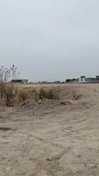 دونم طابو زراعي • كربلاء الجذار • ماء بزل