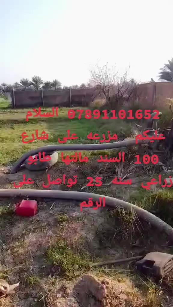 *********** السلام عليكم  مزرعه على شارع 100 السند مالتها طابو زراعي سنه 25 تواصل على الرقم
