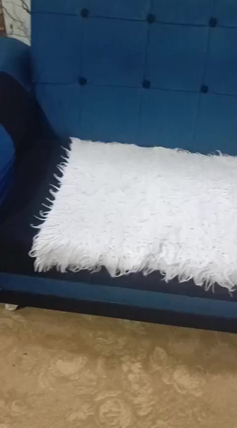 للبيع قيم واخذ تخم ١٠ مقاعد ومعرض


**إذا كنت صاحب هذا الإعلان وتريد حذفه لأي سبب، رجاءا أرسل رسالة إلى الدعم الفني**