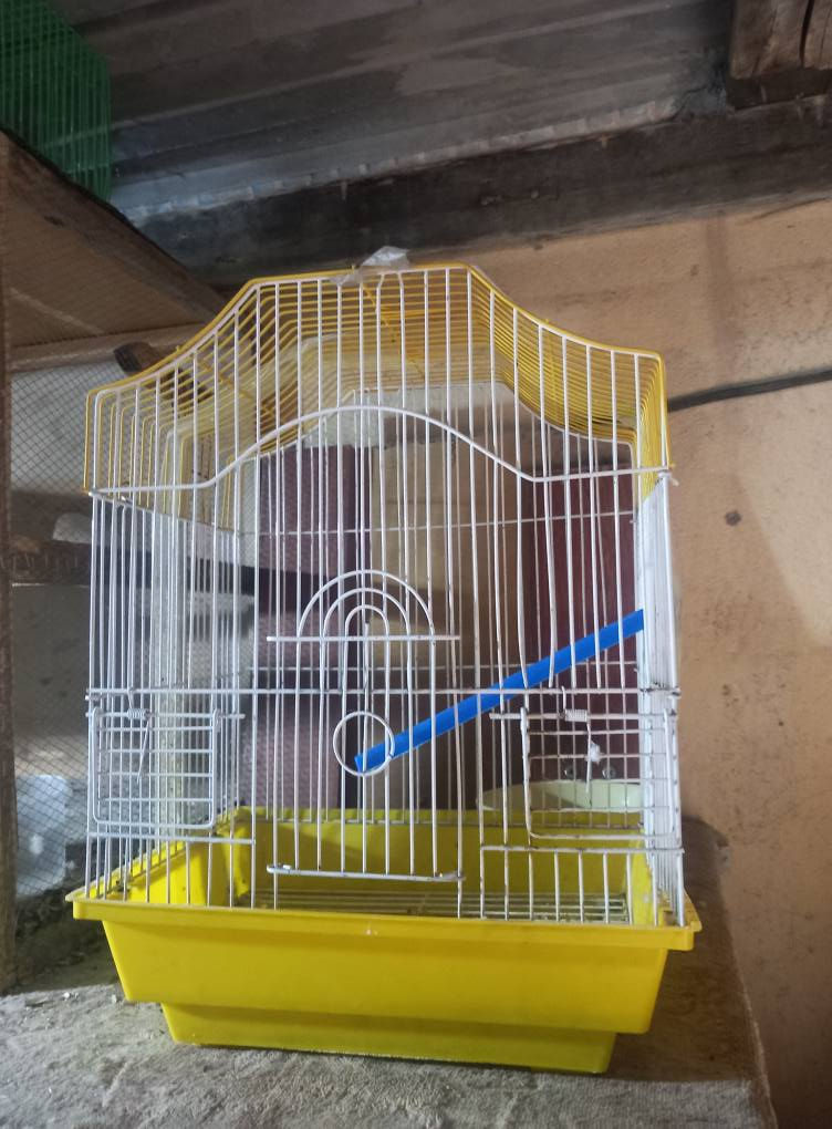 متاح وجبه مال اقفاص مستعمله استعمال قليل  قيم واخذ  المكان كربلاء   حي العامل  هاتف :***********6
