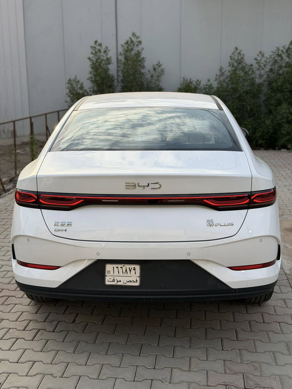 جن بلاس داخل ابيض زيروو
جن بلاس ابيض داخل جلد ابيض 
بصمه + كارت + فوم 
اغراض كامل زيروو غير مستخدم 
السعر صافي تجي تاخذ من باب البيت 

السعر 18700 

الهاتف *********** 

العنوان بغداد بلديات 

وكيل الشركة موجود كل مواقع المرور بغداد
