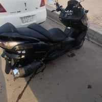 فورزة • أوراق كاملة • واجهة مكسورة