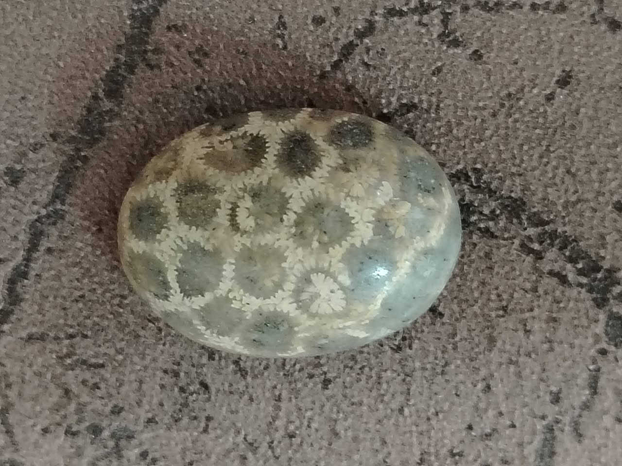 كلهن للبيع


**إذا كنت صاحب هذا الإعلان وتريد حذفه لأي سبب، رجاءا أرسل رسالة إلى الدعم الفني**