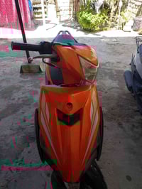 ثعلب • صيني • فول