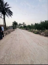 دونم • ٢٥٠٠م • نادر