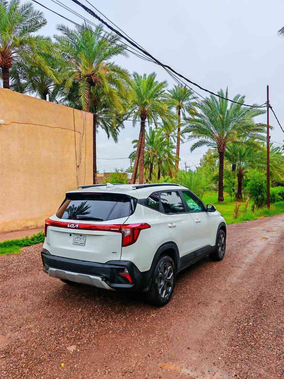 سيلتوس 2025 دخول جديد بدون رقم فحص مؤقت ماشيه 8 الف مكفوله من الصبغ ضررها طخه بسيطه ب قبق الصندوك صور الحادث بمنشور بدون ايرباك
محرك 2000 دوش رادار أمامي خلفي جانبي كشنات تدفئة أنظمة قيادة متعددة أوتو ستوب توقف ذاتي شاشة ديجتل متصل
سعر 165 وبيه مجال بسيط وهذا رقمي
***********
مكانه / بغداد أو الحلة
