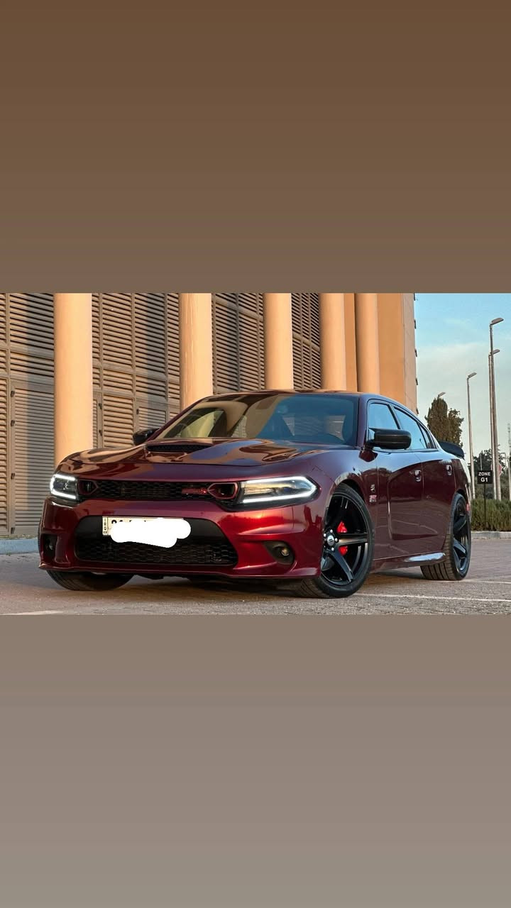 دوج جارجر 2017 SRT scat pack 
محرك v8 (6.4L) 485HP
اللون مميز ماروني وارد كندي 
حادثها فقط بونيد و جاملغ 
بدون شواصي
  ايرباك راجع بيلادي
مواصفات سيارة معروفة
كشنات جلد و كنتارا
كشنات كهرباء 
كشنات خزن
كنات تدفئة
كشنات تبريد
ستيرن تدفئة
سيستم  صالنصا بيلادي صوت حلو

🟪ســعــر   100

و بعد هوايا مواصفات معروفة
حدادية جديدة 
تخم تاير و ويل جديد
سيارة بلاكات Racing
سويت  سيرفس كامل 
ما يحتاج اي مصاريف

رقـــم صـاحــب الـســيــارة
***********
