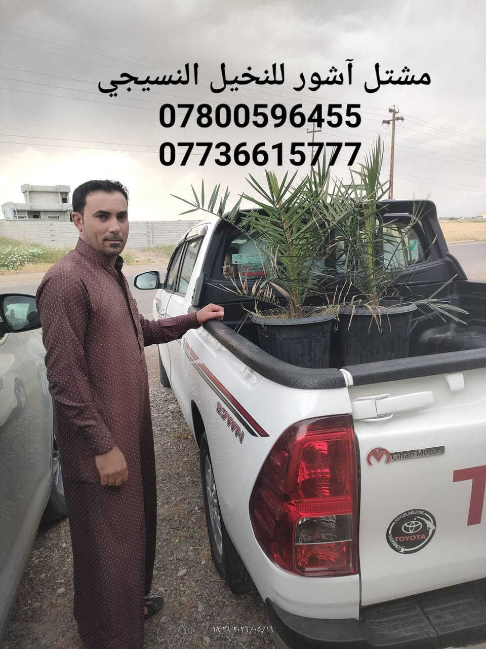 بسم الله وعلى بركة الله،، 
تم تجهيز الأخ طايس الرضوان ،،،،
#برحي مختبر DPD بريطاني،،،
 (((((ضمان الصنف لحين الاثمار )))))
،،،،،غرس مبارك إن شاء الله،،،،
((( #مشتل آشور)))
يتوفر لدينا #فسائل #نسيجية مختلف الأصناف 
#روبي 
#برحي 
#مجهول  
#زاملي  
#مكتوم 
{{العنوان}}
صلاح الدين الشرقاط الساحل الايسر،،،،
ناحية آشور ،،،
 قرية النايفة بالقرب من المجمع الحكومي،،،
للحجز والاستفسار 
***********
***********
ملاحظة،هذا الحجم يثمر خلال سنتين إن شاء الله ،،،
