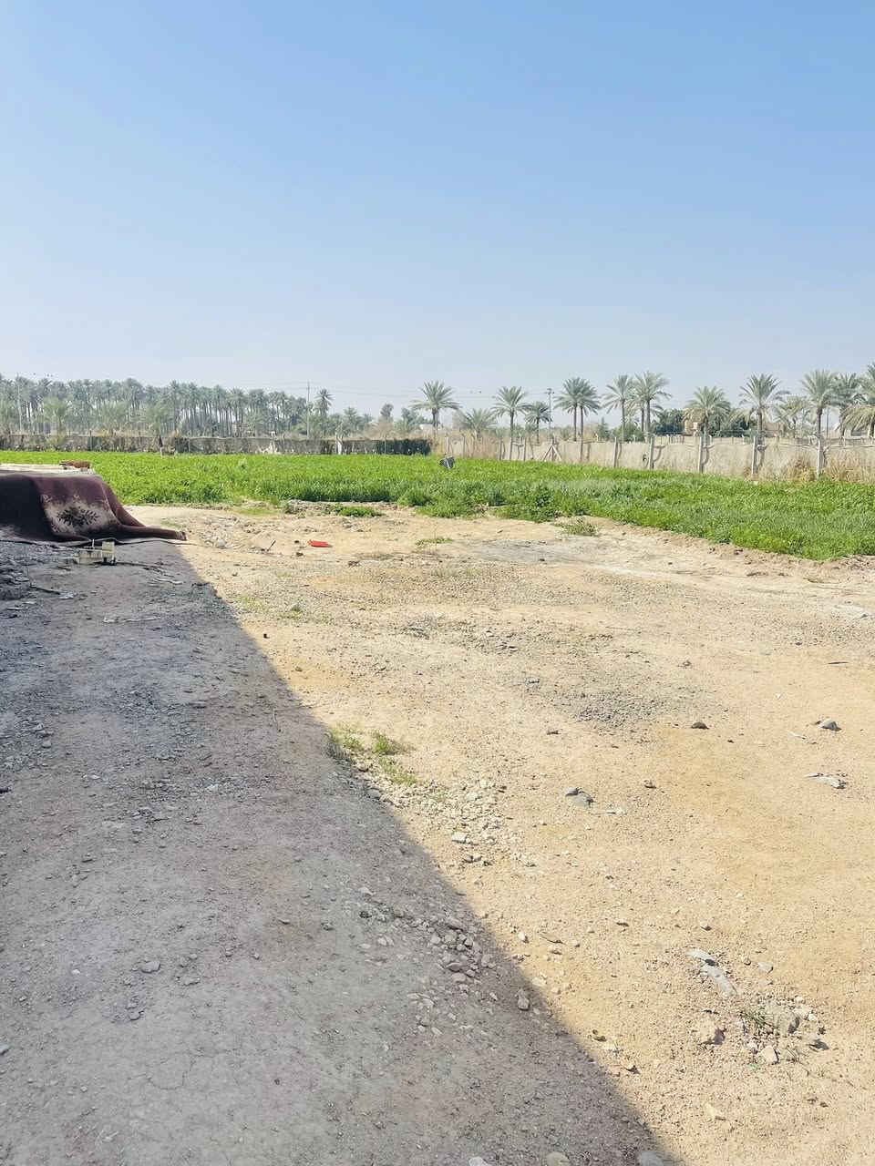 ***********ارض للبيع مساحه دونم او نص تريد ينباع العنوان الحمزه منطقة العلاك
