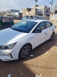 النترا • ٢٠١٩ • فول خليجي