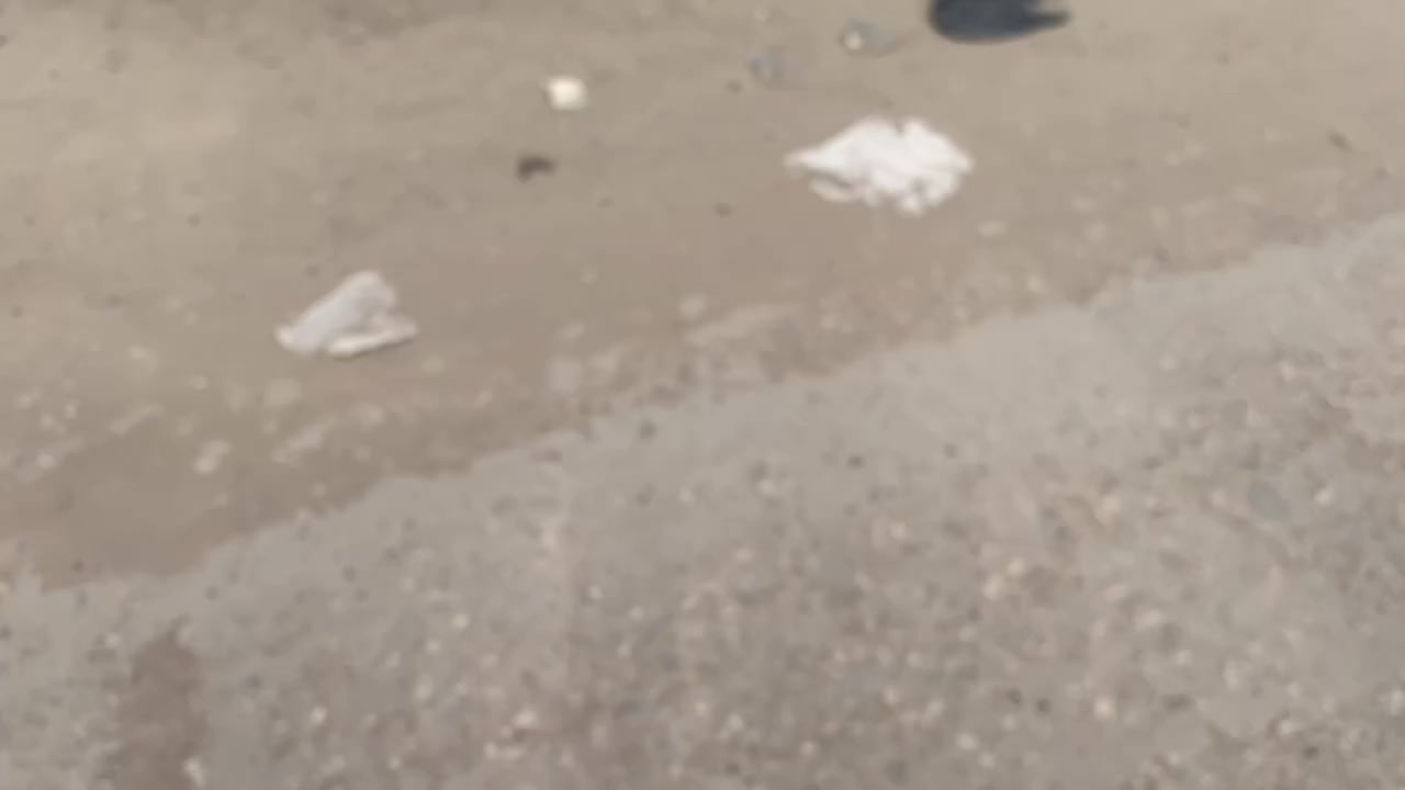 نيسان 2025 صني مصري كفاله ما عدا الجاملغ بي هلال  السياره مال جناي ومستعجل عل بيع وبيها مجال بسيط 
ماشيه 24 السعر 117🫡. ***********
