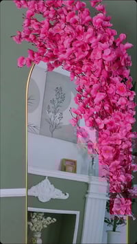 استوديو حسين حامد • زفات الأعراس • بابل الإسكندرية