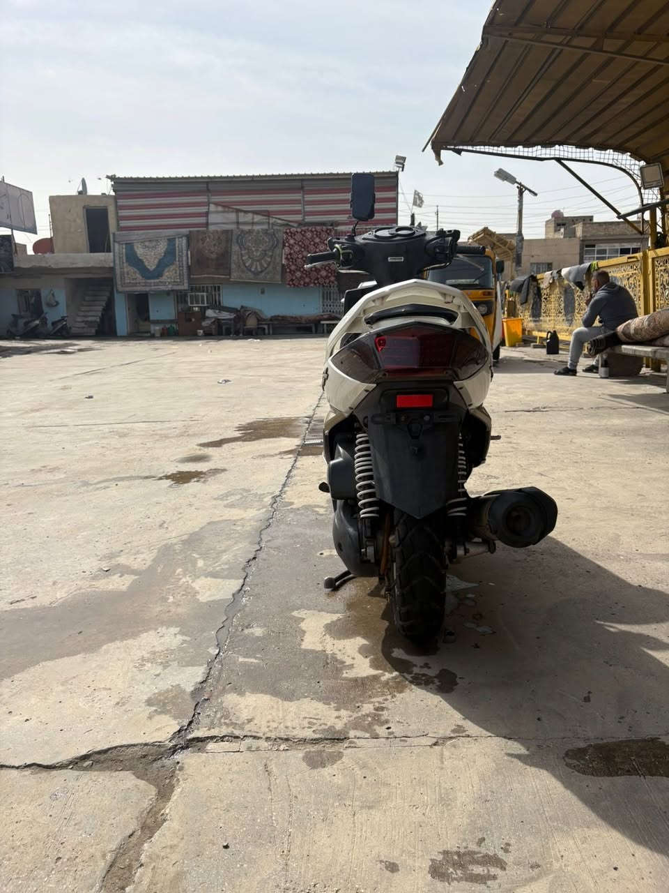 سلام عليكم شبابنه الطيبه سكنس فحل طلاعات جديده بجيس   كفاله عامه اوبلعافيه ع ياخذهة مكاني بغد الشعب. ***********
