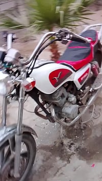 جونده • موديل 11 • عظم