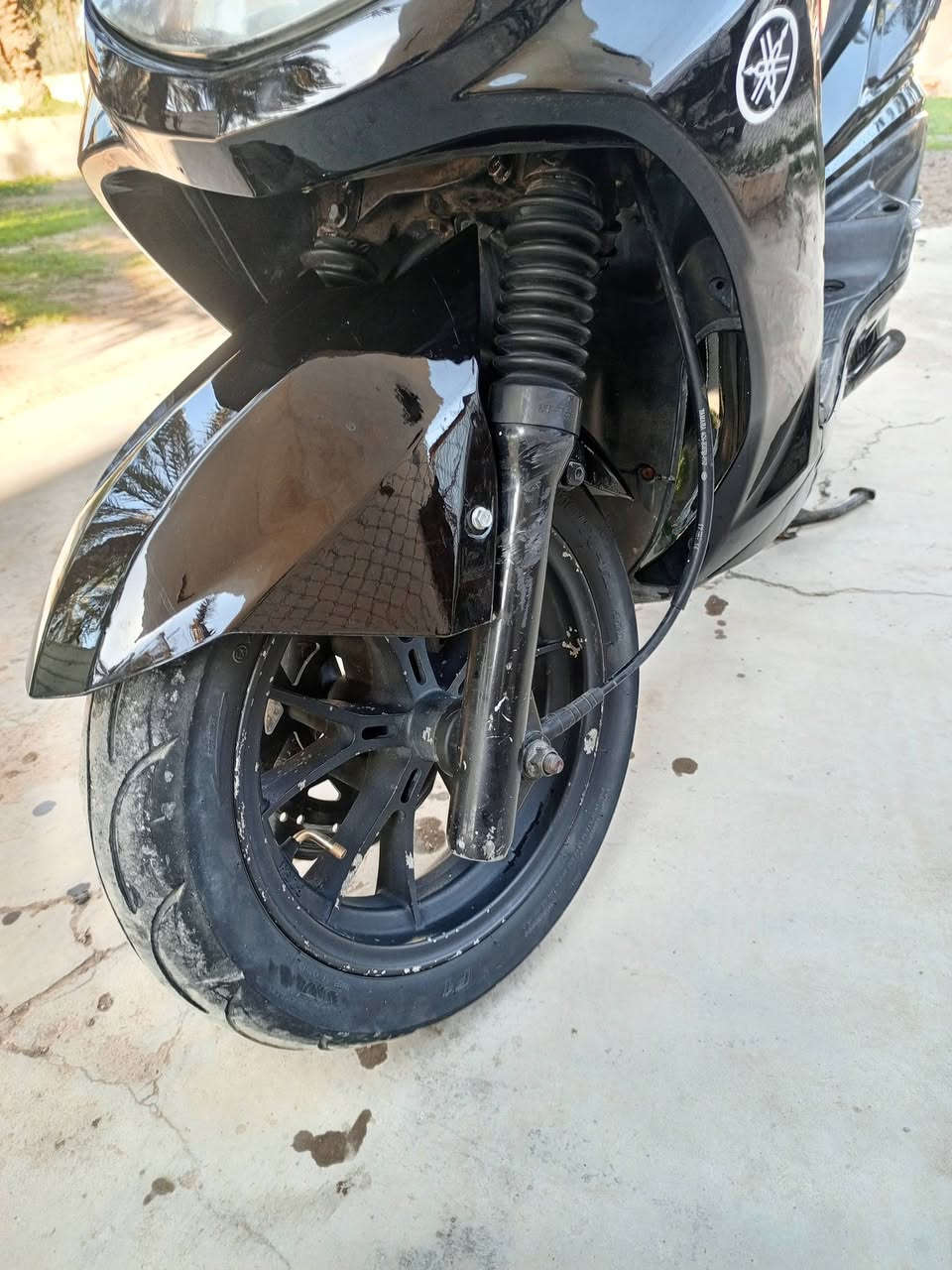 .
للبيع سكنس فحل نوزل خطين موديل 2011 طلاعات دشبول 3الوان مكينة بلادية لا دخانة و لا صوت شلعة و معدل بيهة ويل كب رياضي و هاوزن رياضي سلف رياضي يدات رياضي كلهن بلاديات كهربائيات كلهة شغالة دبلات جدد السعر700 مكاني بغداد الشعلة الرقم*********** واساب فقط
