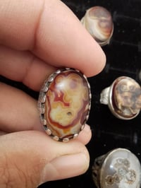 نوادر الداودي • قديم • مع توصيل