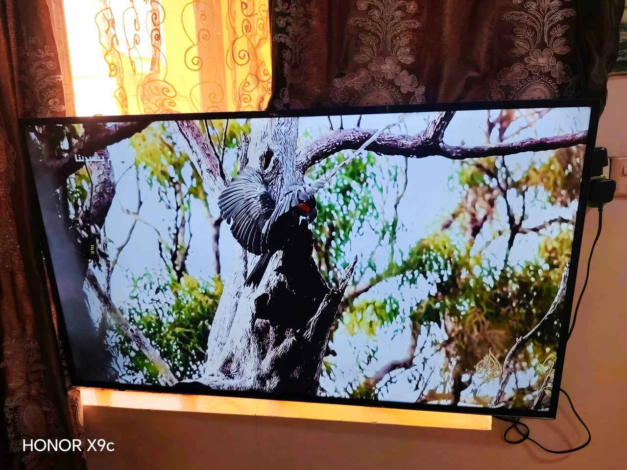 سلام عليكم
شاشه للبيع حجم ٥٠
مامفتوحه شرط
انترنت بيها نظام قديم
نوعيه denkk
فول HD
سعر ٢٠٠ الف قفل


**إذا كنت صاحب هذا الإعلان وتريد حذفه لأي سبب، رجاءا أرسل رسالة إلى الدعم الفني**