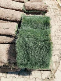 وصول ثيل درجه اولئ هندي واسباني وايطالي باسعار مناسبه 07700762592