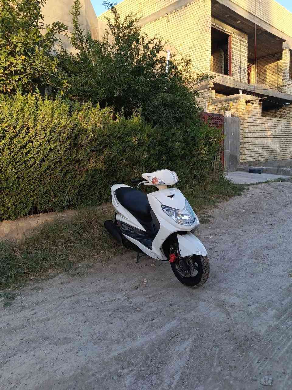 دراجة سكنس فحل 140 نكرة سلف هندر بكل وقت كفراتها كلها مختمة ختم واحد وية السوادات ول محرك كهربائيات كلها كاملة عداد شغال محركها مكفول لا نضوح ولا تبخير ناعم ول دراجة نضافتها مثل مموضح بل صور سعرها 575 وبيها مجال مكاني الشعلة ‏‪***********‬‏
